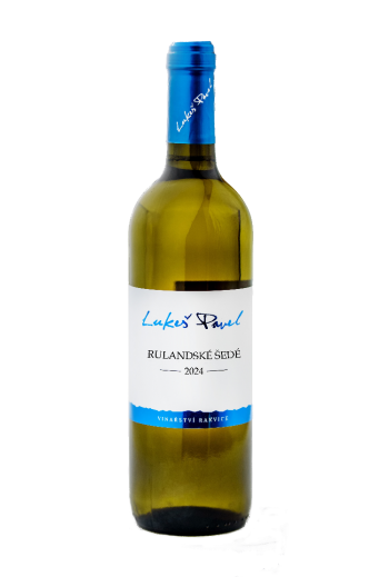 Rulandské šedé 2024